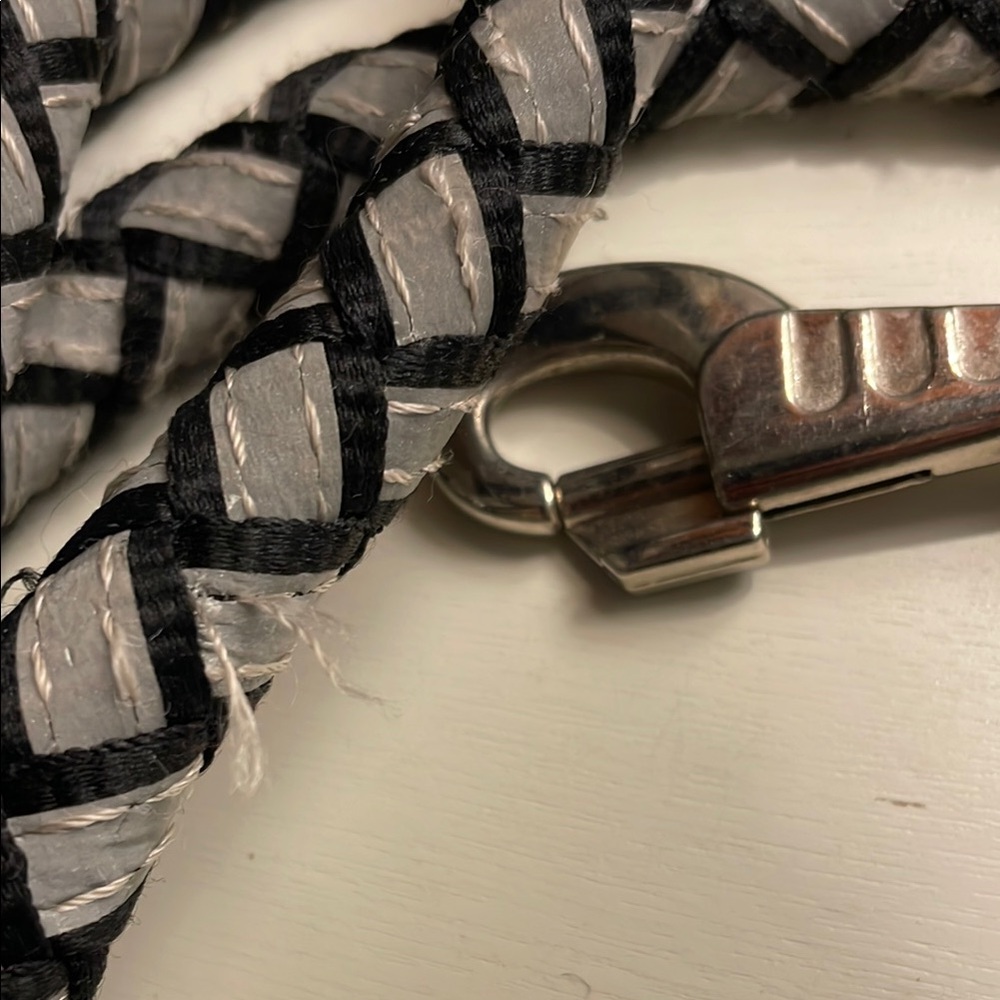FOUR PAWS Braided Reflective Dog Leash - Picture 5 of 9